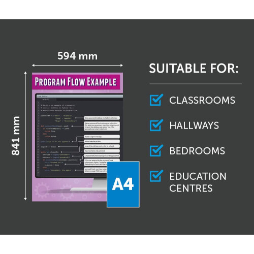 Daydream Education Program Flow Control Example | Computer Science Posters | Laminated Gloss Paper measuring 850mm x 594mm (A1) | STEM Posters for the 2
