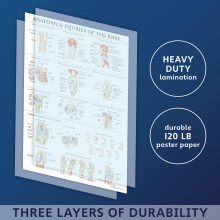 Palace Learning 2 Pack - Anatomy and Injuries of The Knee & Hip Poster Set - Anatomical Chart Set - Laminated 18" x 24"