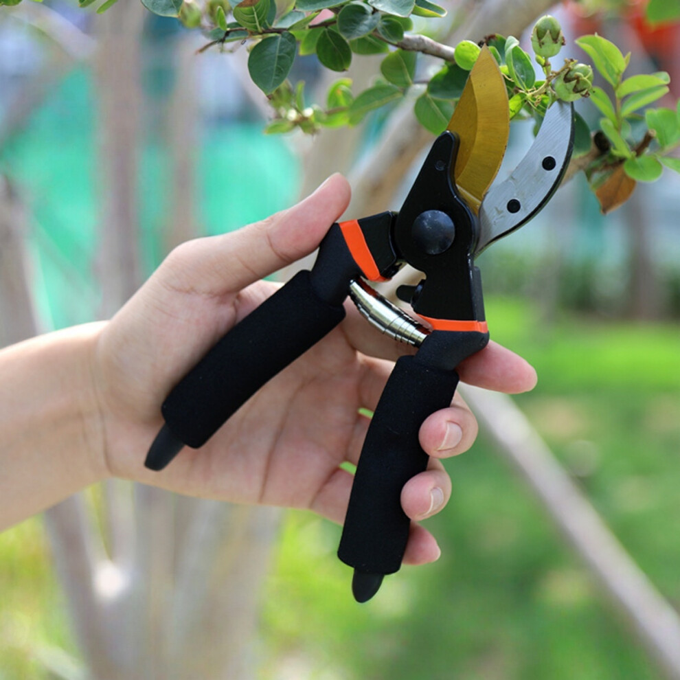 Pruning Shears, Garden Shears, 8" Professional, Garden Scissors, Gardening Shears, Garden Clippers, Bypass Pruners 9477002795998