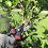 Gartenschere, 8" Profi-Gartenschere, Gartenschere, Gartenschere, Bypass-Gartenschere 2