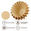 Coffee Filters for  Coffee Percolator, 100 Pcs Perforated Unbleached Filter Paper for  4Cup 8
