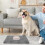 Pet Feeding Mat Absorbent Floor Mat for Kitchen Use Black PU Rubber 3