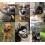 Breathable Basket Muzzles For Large Dogs,size:（28-31CM） 4