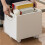 Book Box Book Storage Box with Side Handles Stackable 50kg Load Bearing Multifunctional Use File Storage Bins 4