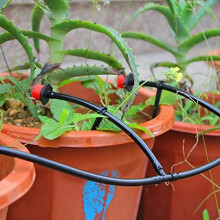 Conectores de PúAs de Riego Por Goteo, Accesorios de Te de PúAs Universales 300 Piezas