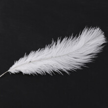 30 Pieces White Natural Ostrich Feather 20-25cm Wedding DIY