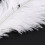 30 Pieces White Natural Ostrich Feather 20-25cm Wedding DIY 9