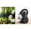 Bosch Bosch Serie 2, Staubsauger mit Beutel, Schwarz, BGLS2POW1 3