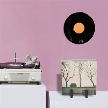 Vinyl Record Storage Holder, Black Lp Record Holder,Metal Album Storage for Vinyl Records Record Display Rack