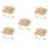 Small Starfish Star Sea Shell Beach  0.4 Inch-1.2 Inch 450 Pcs 1