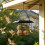 Durable Dark Square Wild Bird Dispenser For Garden Deck-Black 3