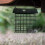 Elegant Creature insubordinate Wild Bird Dispenser-Green 7