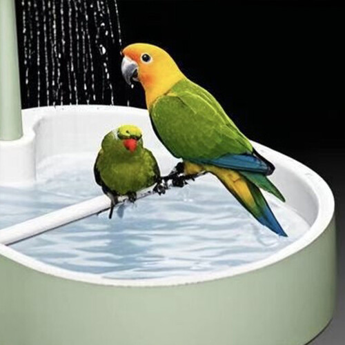 Adjustable Flows Pet Bird Shower with Electric-Beech stick 1.5 2