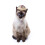 Unique Halloween Pet Decorations For Dog Cats Comfortable And-3 5