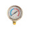 Expert Swimming Pool Sand cistern Pressure Checker With Viscous 1