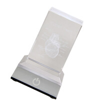 Crystal Anatomical Heart/Teeth Model Education Keepsakes-heart