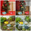 Glow Japanese Carp Decoration Assorted Color 10pcs 4