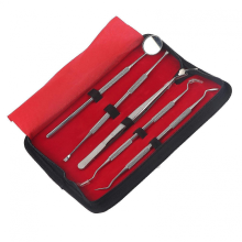 5-teiliges professionelles Zahnarzt-Instrumentenset aus Edelstahl – Zahnreinigungs- und Hygiene-Set