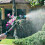 Triple Mode Electric Liquid Sprayer Switchable Shower Fan-5 3