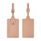 Practical PU Leather Luggage Labels With Firm Closure For-Pink 1