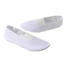 White Soft Soles Canvas Ballet Dance Shoes For Men And-White 31