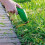 Trådløs mini-ugresstrimmer 20V litiumbatteri lett gresstrimmer for hagekantklipping_M 1