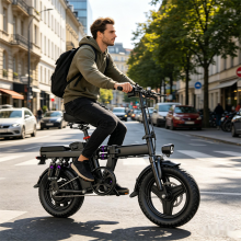 14" Folding City E-Bike 250W 48V 15AH Full suspension Electric Bicycle