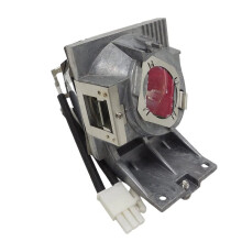 Premium 5J.JHN05.001 Replacement Projector Lamp for HT2550 TK800 TK800M W1700 W1700S W1720 240W P-VIP 240/0.8 E20.8