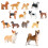 14PCS Realistic Dog Statues Plastic Miniature Animal Figures 1