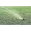 Maxi-Paw Sprinkler for Full or Partial Circle Lawn Irrigation_M 4