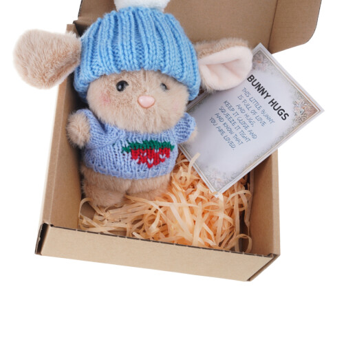 Plüsch-Osterhasen, Geschenkbox, weiche-Typ C blau