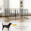 PawHut Parque para Perro Negro 80 x 1.5 x 120 cm 3