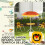 Outsunny Muebles de Jardín Amarillo 100 x 100 x 122 cm 6