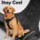 Funfox Dog Harness for Xlarge Dogs, No Pull Pet Vest Adjustable with Vertical Handle & Front Clip 2