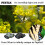Pentax Binóculos PENTAX Papilio III WR - Observação a curta distância 6
