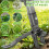 Bamda Weed Puller Root Remover Tool for Garden Lawn Yard, 110.5cm 5