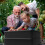 4 Tray Black Tiger Wormery 3
