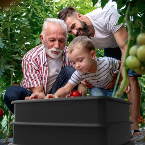 4 Tray Black Tiger Wormery 2