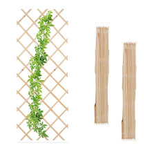 Ensemble de treillis extensible pour plantes, 180 x 90 cm, fixation murale