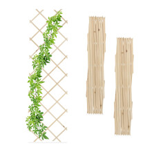 Ensemble de treillis extensibles pour plantes, 180 x 60 cm, lot de 3