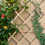Ensemble de treillis extensible pour plantes, 180 x 90 cm, fixation murale 3