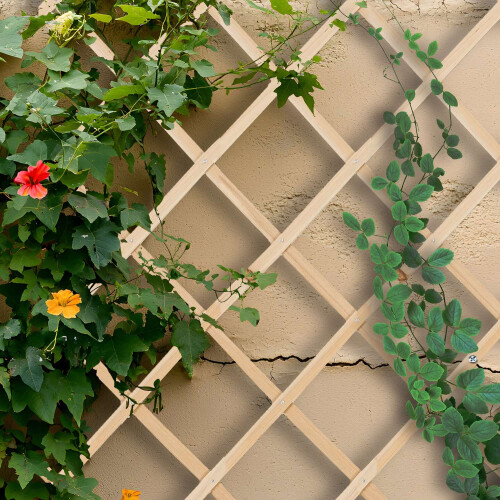 Ensemble de treillis extensible pour plantes, 180 x 90 cm, fixation murale 2
