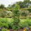 Metal haveespalier til klatreplanter, buet design 3