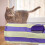 Tunnel En Polyester Pour Jeux De Chats 3