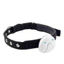 Offrez la tranquillité d'esprit pour Noël : une protection à vie avec notre collier GPS 4G pour animaux.