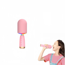 Microphone et haut-parleur karaoké tout-en-un : système Bluetooth sans fil pour chanter et s’amuser à la maison