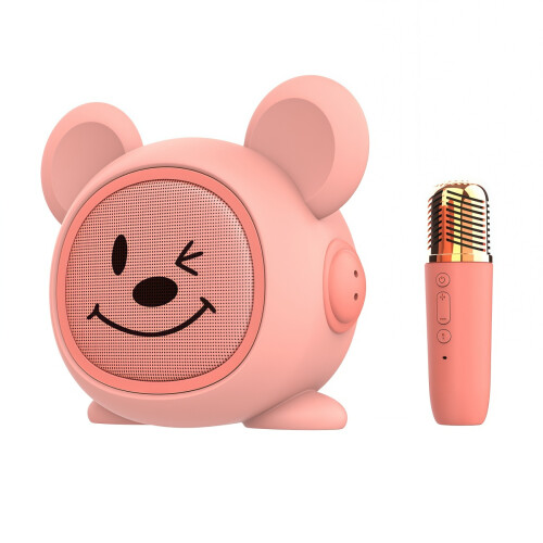 Sing-Along Bear Karaoke Microfoon: Leuke Bluetooth-luidspreker met lachend gezichtje