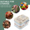 Multi-Color Tinplate Gift Box for Storage Christmas Cookie Tin 5