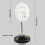 Educational Moment Of Force Demonstration Tool Plastic Metal 3