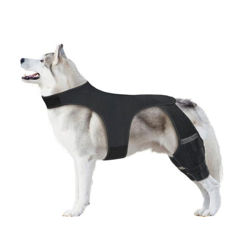 Elastic Dog Leg Brace Wrap Efficient Joint Protective-XXXL